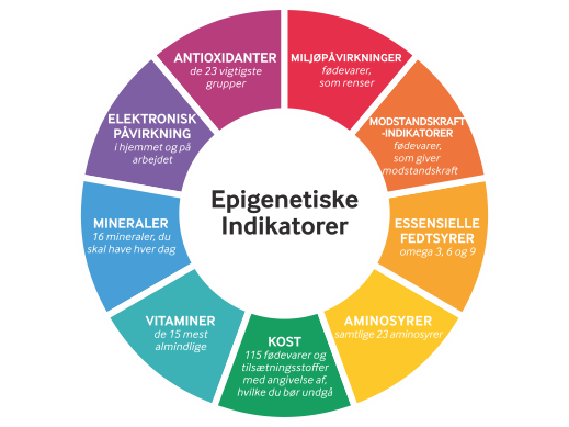 Få foretaget en håranalyse test med fokus på at opdage vitamin- og mineralmangler, forbedre fordøjelse og styrke immunforsvaret naturligt.