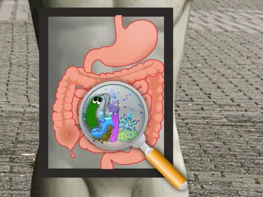 Illustration af tarmsystem med bakterier, der viser fordøjelsens rolle og mikrobiomets betydning for sundhed