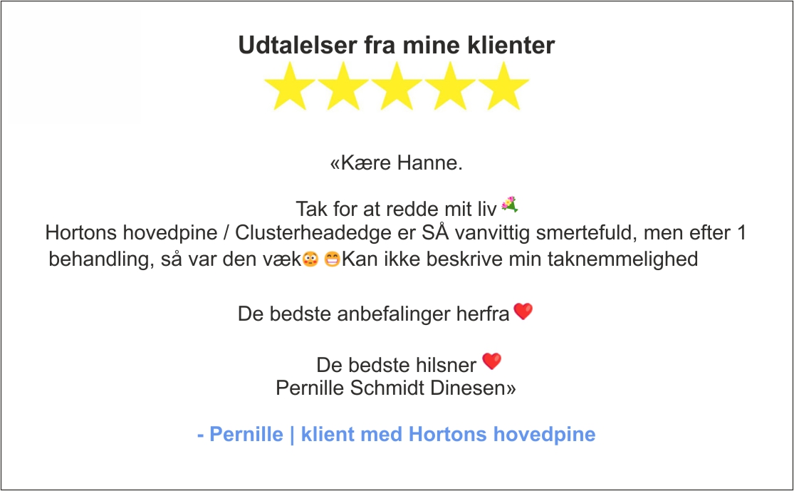 Udtalelser fra mine klienter