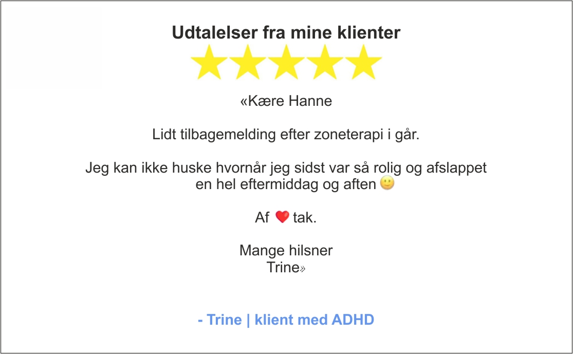 Udtalelser fra mine klienter