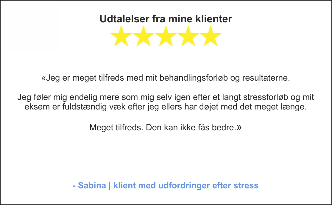 Udtalelser fra mine klienter