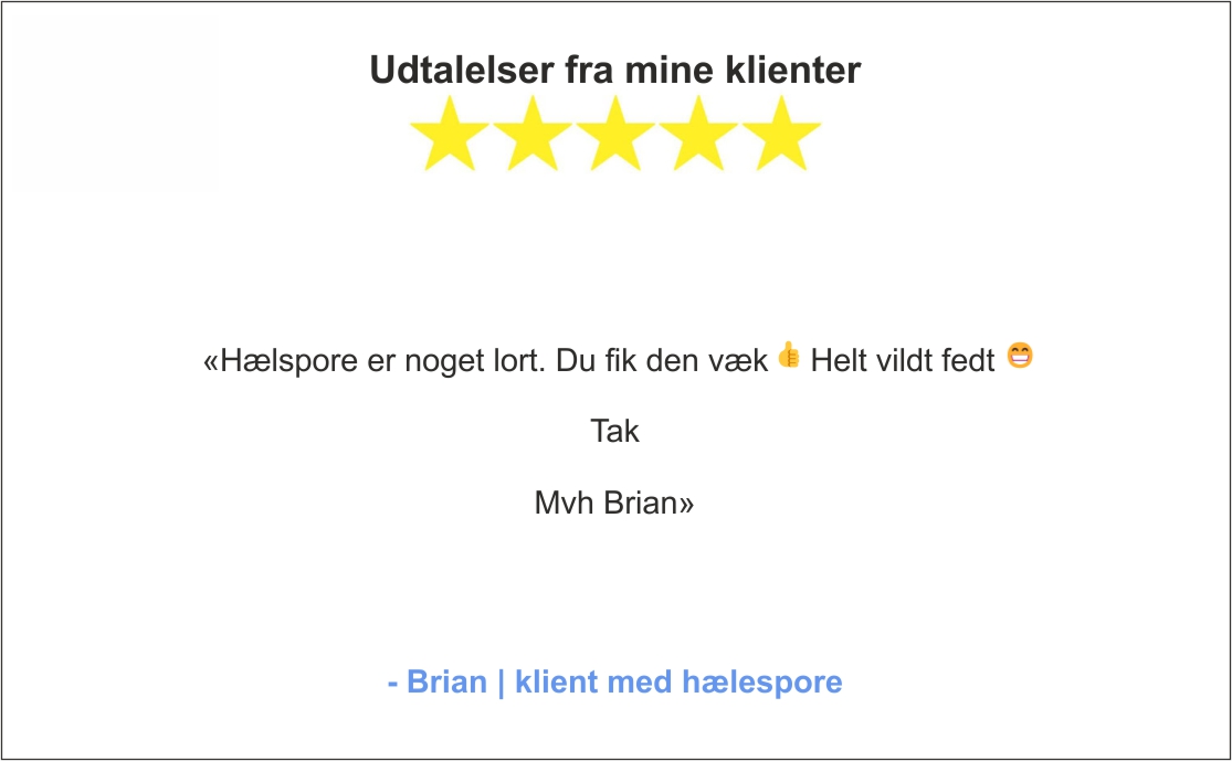 Udtalelser fra mine klienter