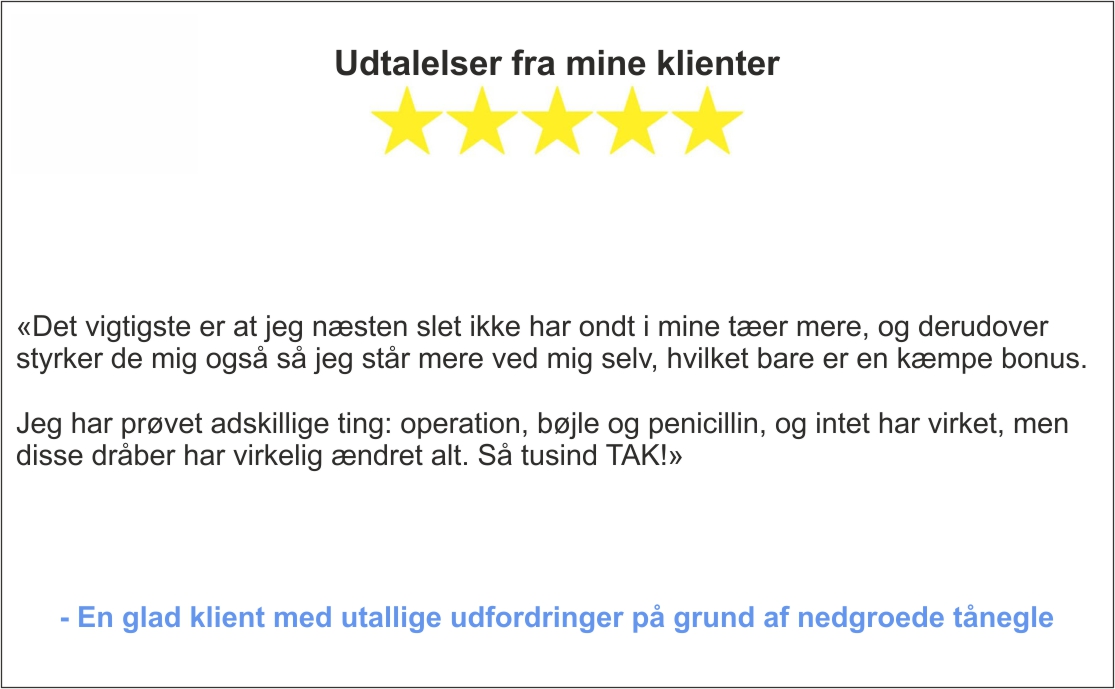 Udtalelser fra mine klienter