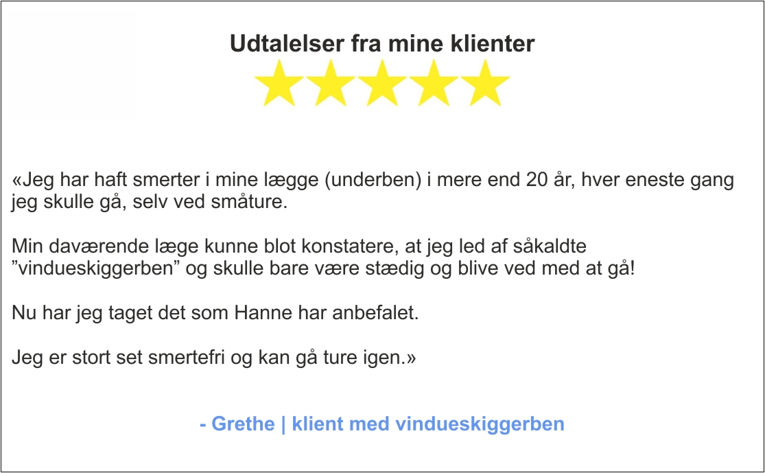 Udtalelser fra mine klienter