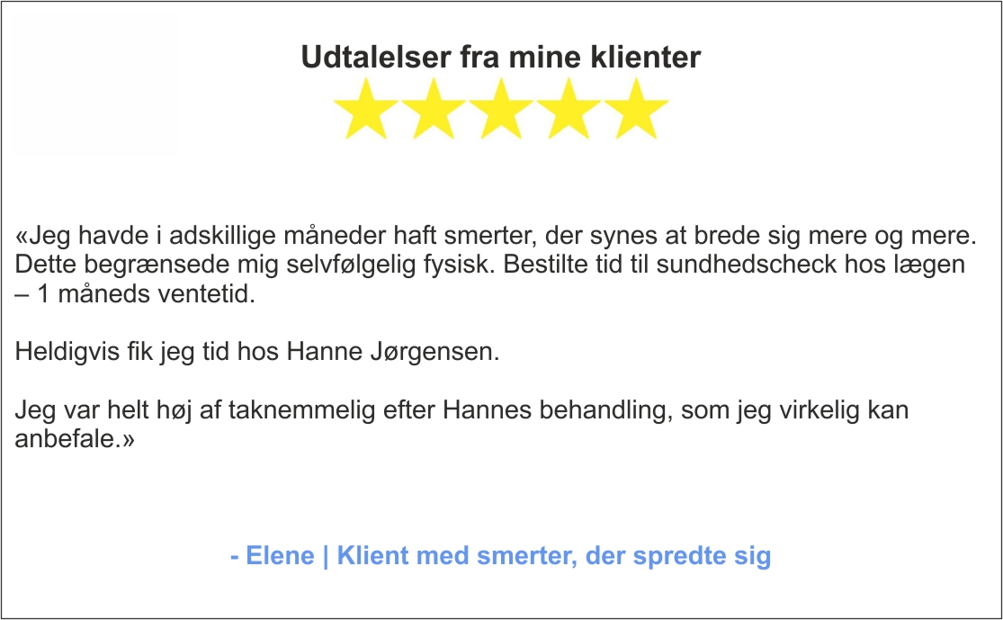 Udtalelser fra mine klienter