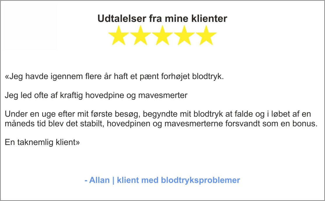 Udtalelser fra mine klienter