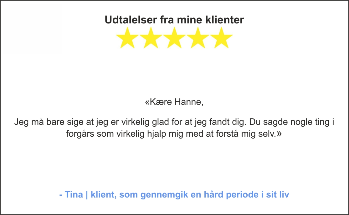 Udtalelser fra mine klienter