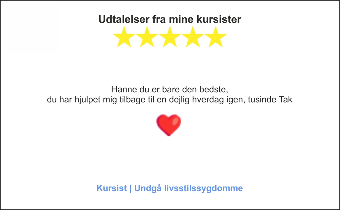 Udtalelser fra kursist