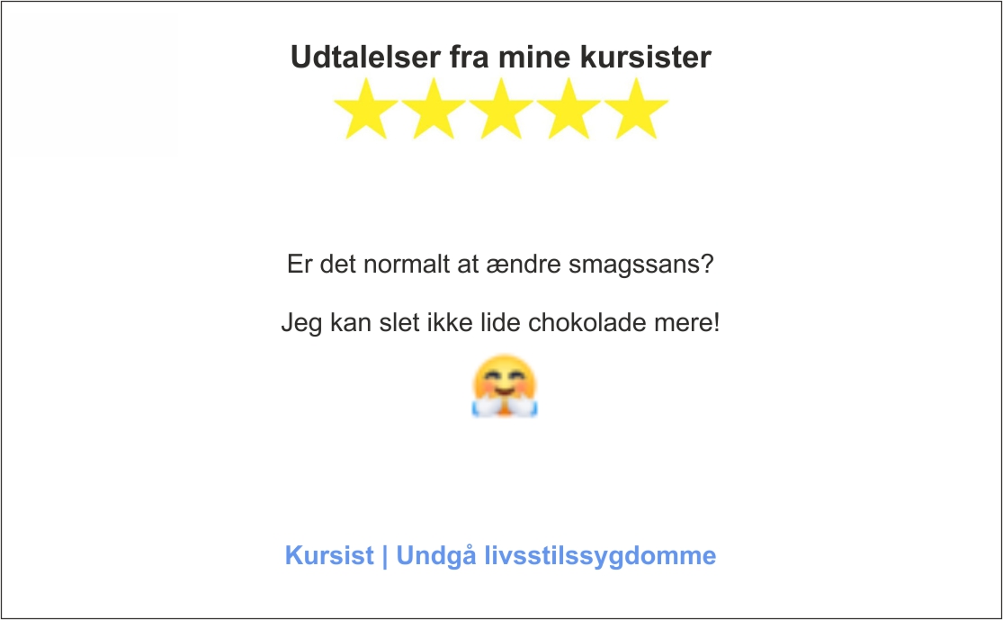 Udtalelser fra kursist