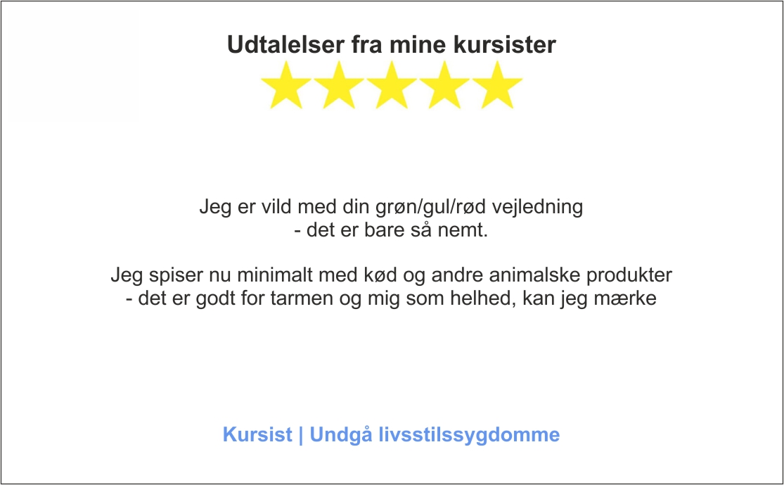 Udtalelser fra kursist