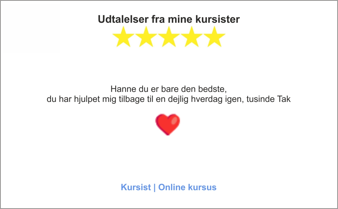 Udtalelser fra kursist