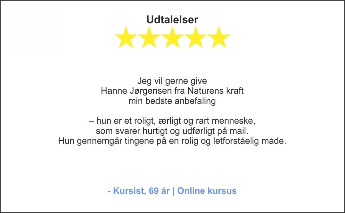 Udtalelser fra kursist